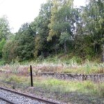 K.P. st.m 1937-1938  Ringsaker stasjon var en jernbanestasjon på Dovrebanen ved Tande i Ringsaker kommune i Hedmark fylke. Den ble åpnet 1894 som Tande stasjon, 1. november 1913 ble fikk den navnet Ringsaker. 1. september 1965 ble godstrafikken nedlagt og den 22. samme måned ble stasjonen nedgradert til holdeplass, som senere ble nedlagt.